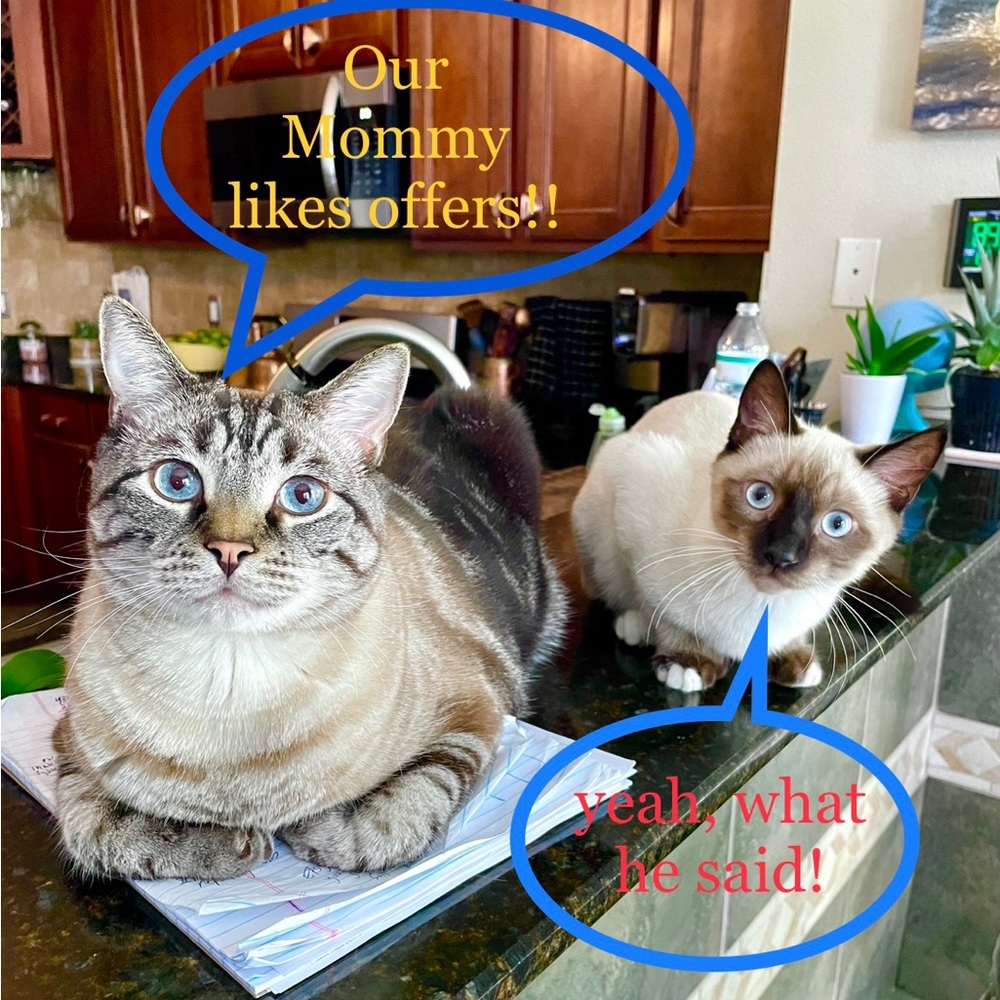 Hey guys!! 💁🏻‍♀️🐾💋  I’m willing to take reasonable offers! 🎉🌷